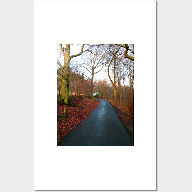 A winter walk in the park Wall Art by tomg